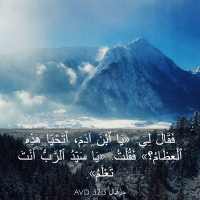 Picture 03 - حِزْقِيَال 37:3 AVD - فَقَالَ لِي: «يَا ٱبْنَ - Bible Verse Picture