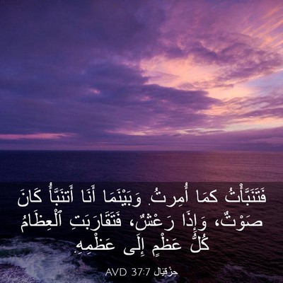 Picture 03 - حِزْقِيَال 37:7 AVD - فَتَنَبَّأْتُ كمَا - Bible Verse Picture