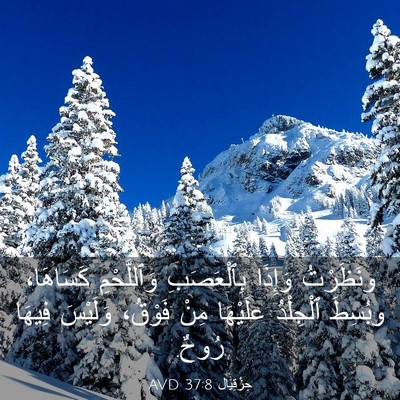 Picture 03 - حِزْقِيَال 37:8 AVD - ونَظَرْتُ وَإِذَا - Bible Verse Picture