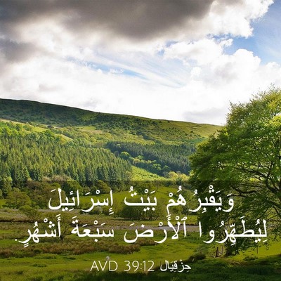 Picture 03 - حِزْقِيَال 39:12 AVD - وَيَقْبِرُهُمْ بَيْتُ - Bible Verse Picture