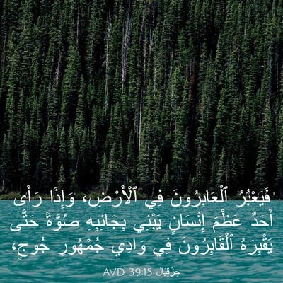 Picture 03 - حِزْقِيَال 39:15 AVD - فَيَعْبُرُ ٱلْعَابِرُونَ - Bible Verse Picture