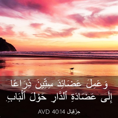 Picture 03 - حِزْقِيَال 40:14 AVD - وَعَمِلَ عَضَائِدَ - Bible Verse Picture