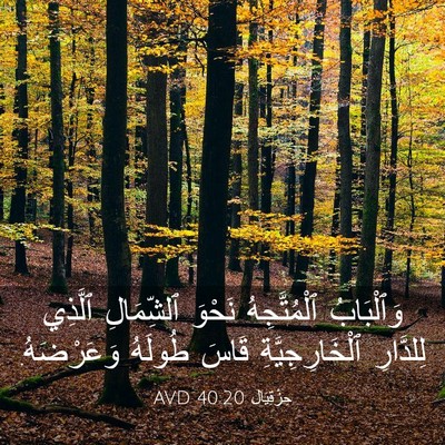 Picture 03 - حِزْقِيَال 40:20 AVD - وَٱلْبَابُ ٱلْمُتَّجِهُ - Bible Verse Picture