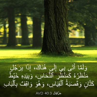 Picture 03 - حِزْقِيَال 40:3 AVD - وَلَمَّا أَتَى بِي إِلَى - Bible Verse Picture