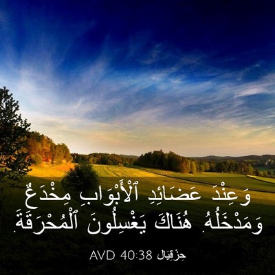 Picture 03 - حِزْقِيَال 40:38 AVD - وَعِنْدَ عَضَائِدِ - Bible Verse Picture