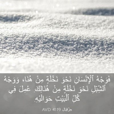 Picture 03 - حِزْقِيَال 41:19 AVD - فَوَجْهُ ٱلْإِنْسَانِ - Bible Verse Picture