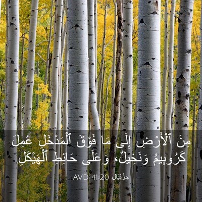 Picture 03 - حِزْقِيَال 41:20 AVD - مِنَ ٱلْأَرْضِ إِلَى مَا - Bible Verse Picture