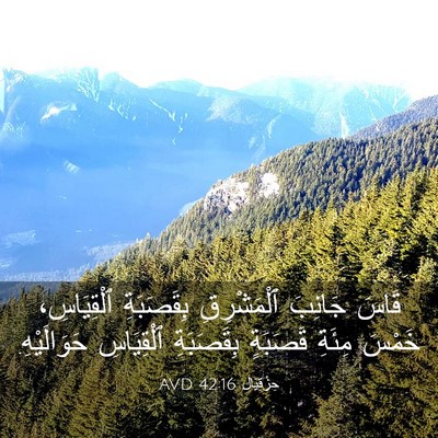 Picture 03 - حِزْقِيَال 42:16 AVD - قَاسَ جَانِبَ ٱلْمَشْرِقِ - Bible Verse Picture
