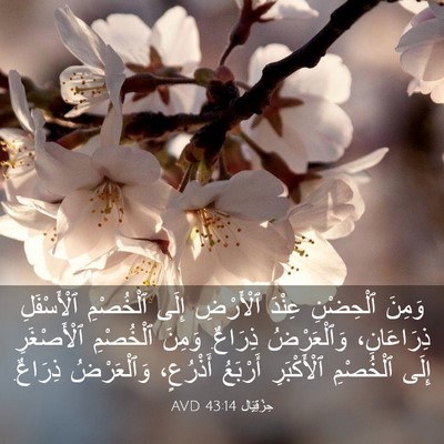 Picture 03 - حِزْقِيَال 43:14 AVD - وَمِنَ ٱلْحِضْنِ عِنْدَ - Bible Verse Picture