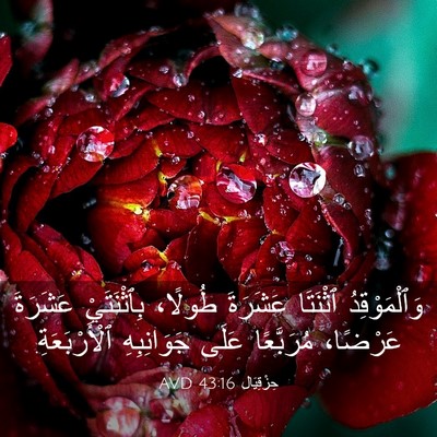 Picture 03 - حِزْقِيَال 43:16 AVD - وَٱلْمَوْقِدُ ٱثْنَتَا - Bible Verse Picture