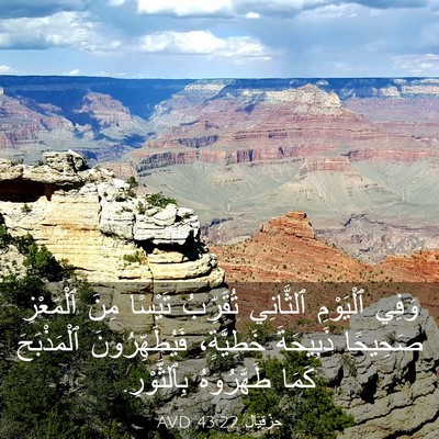 Picture 03 - حِزْقِيَال 43:22 AVD - وَفِي ٱلْيَوْمِ ٱلثَّانِي - Bible Verse Picture