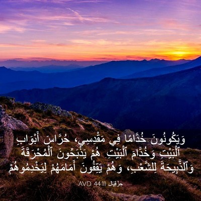 Picture 03 - حِزْقِيَال 44:11 AVD - وَيَكُونُونَ خُدَّامًا - Bible Verse Picture