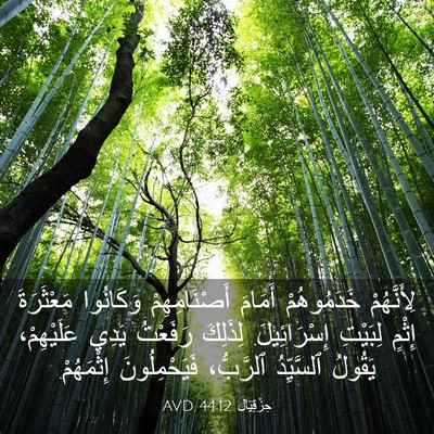 Picture 03 - حِزْقِيَال 44:12 AVD - لِأَنَّهُمْ خَدَمُوهُمْ - Bible Verse Picture