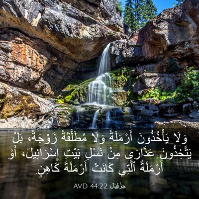 Picture 03 - حِزْقِيَال 44:22 AVD - وَلَا يَأْخُذُونَ - Bible Verse Picture
