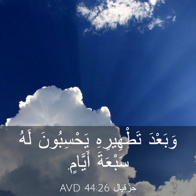 Picture 03 - حِزْقِيَال 44:26 AVD - وَبَعْدَ تَطْهِيرِهِ - Bible Verse Picture