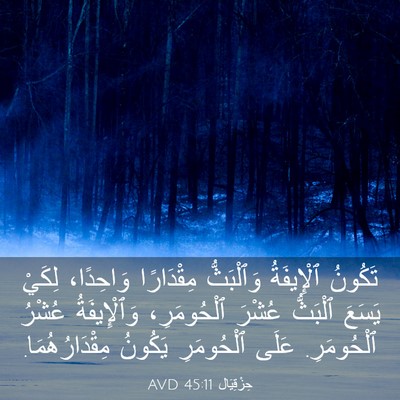 Picture 03 - حِزْقِيَال 45:11 AVD - تَكُونُ ٱلْإِيفَةُ - Bible Verse Picture