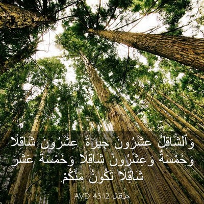 Picture 03 - حِزْقِيَال 45:12 AVD - وَٱلشَّاقِلُ عِشْرُونَ - Bible Verse Picture