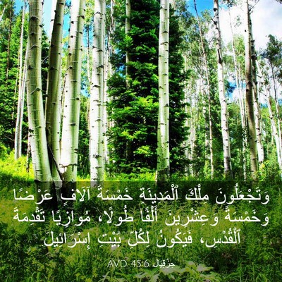 Picture 03 - حِزْقِيَال 45:6 AVD - وَتَجْعَلُونَ مِلْكَ - Bible Verse Picture