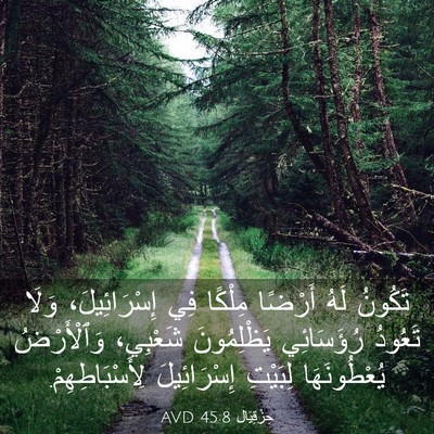 Picture 03 - حِزْقِيَال 45:8 AVD - تَكُونُ لَهُ أَرْضًا - Bible Verse Picture