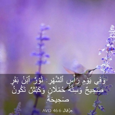 Picture 03 - حِزْقِيَال 46:6 AVD - وَفِي يَوْمِ رَأْسِ - Bible Verse Picture