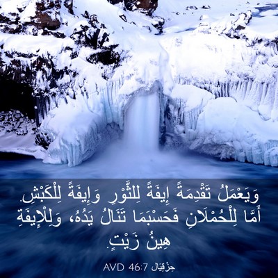 Picture 03 - حِزْقِيَال 46:7 AVD - وَيَعْمَلُ تَقْدِمَةً - Bible Verse Picture