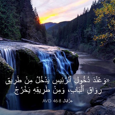 Picture 03 - حِزْقِيَال 46:8 AVD - «وَعْنْدَ دُخُولِ - Bible Verse Picture
