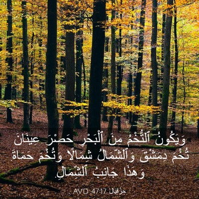 Picture 03 - حِزْقِيَال 47:17 AVD - وَيَكُونُ ٱلتُّخْمُ مِنَ - Bible Verse Picture