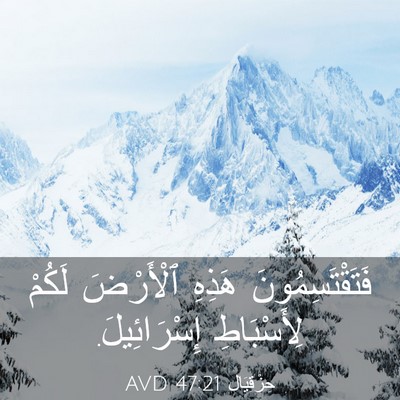 Picture 03 - حِزْقِيَال 47:21 AVD - فَتَقْتَسِمُونَ هَذِهِ - Bible Verse Picture