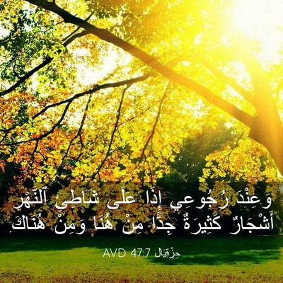 Picture 03 - حِزْقِيَال 47:7 AVD - وَعِنْدَ رُجُوعِي إِذَا - Bible Verse Picture