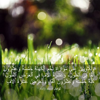 Picture 03 - حِزْقِيَال 48:13 AVD - «وَلِلَّاوِيِّينَ عَلَى - Bible Verse Picture