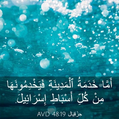 Picture 03 - حِزْقِيَال 48:19 AVD - أَمَّا خَدَمَةُ - Bible Verse Picture