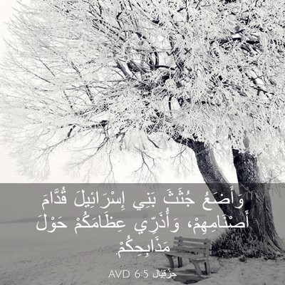 Picture 03 - حِزْقِيَال 6:5 AVD - وَأَضَعُ جُثَثَ بَنِي - Bible Verse Picture