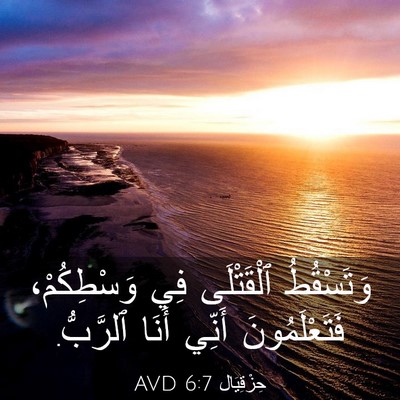 Picture 03 - حِزْقِيَال 6:7 AVD - وَتَسْقُطُ ٱلْقَتْلَى فِي - Bible Verse Picture