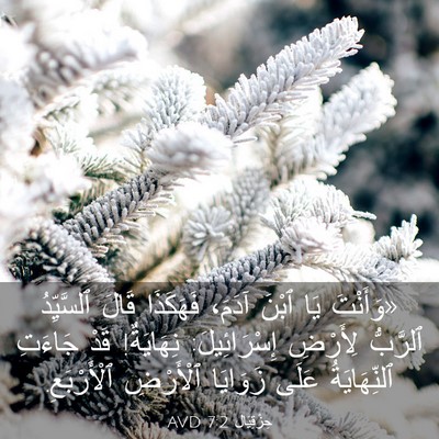 Picture 03 - حِزْقِيَال 7:2 AVD - «وَأَنْتَ يَا ٱبْنَ آدَمَ، - Bible Verse Picture