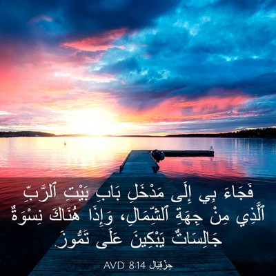 Picture 03 - حِزْقِيَال 8:14 AVD - فَجَاءَ بِي إِلَى مَدْخَلِ - Bible Verse Picture