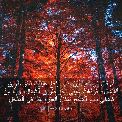 Picture 03 - حِزْقِيَال 8:5 AVD - ثُمَّ قَالَ لِي: «يَا ٱبْنَ - Bible Verse Picture