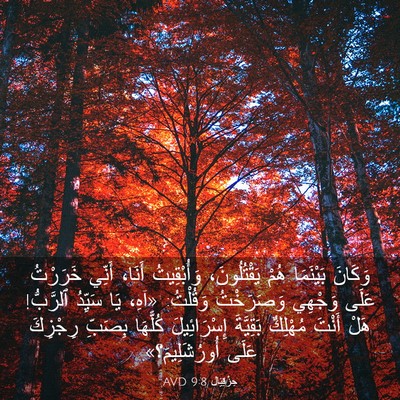 Picture 03 - حِزْقِيَال 9:8 AVD - وَكَانَ بَيْنَمَا هُمْ - Bible Verse Picture