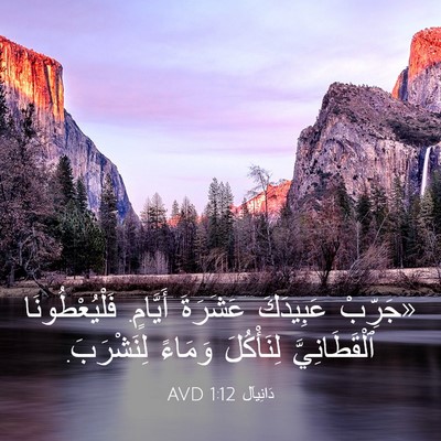 Picture 03 - دَانِيآل 1:12 AVD - «جَرِّبْ عَبِيدَكَ - Bible Verse Picture