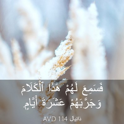 Picture 03 - دَانِيآل 1:14 AVD - فَسَمِعَ لَهُمْ هَذَا - Bible Verse Picture