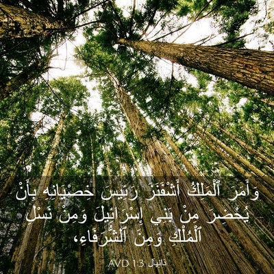Picture 03 - دَانِيآل 1:3 AVD - وَأَمَرَ ٱلْمَلِكُ - Bible Verse Picture