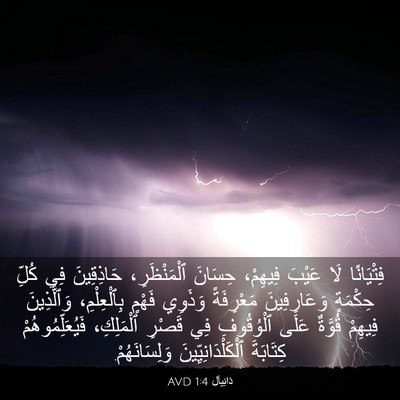 Picture 03 - دَانِيآل 1:4 AVD - فِتْيَانًا لَا عَيْبَ - Bible Verse Picture