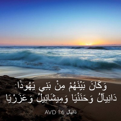 Picture 03 - دَانِيآل 1:6 AVD - وَكَانَ بَيْنَهُمْ مِنْ - Bible Verse Picture