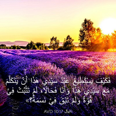 Picture 03 - دَانِيآل 10:17 AVD - فَكَيْفَ يَسْتَطِيعُ - Bible Verse Picture