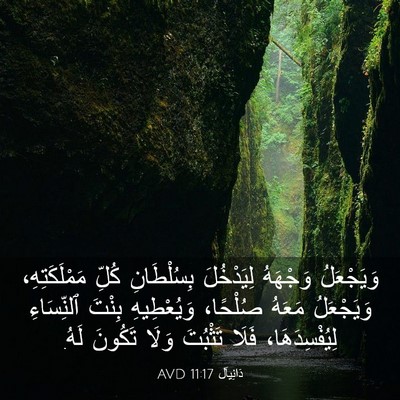 Picture 03 - دَانِيآل 11:17 AVD - وَيَجْعَلُ وَجْهَهُ - Bible Verse Picture