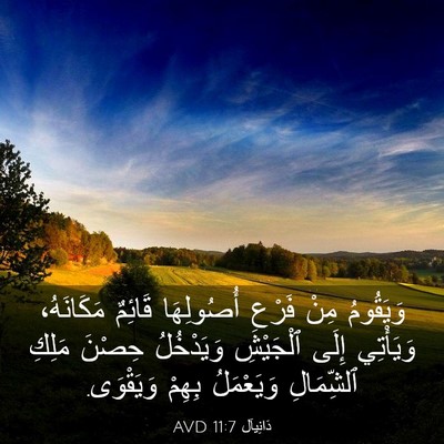 Picture 03 - دَانِيآل 11:7 AVD - وَيَقُومُ مِنْ فَرْعِ - Bible Verse Picture