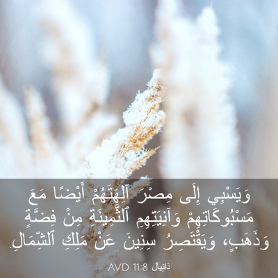 Picture 03 - دَانِيآل 11:8 AVD - وَيَسْبِي إِلَى مِصْرَ - Bible Verse Picture