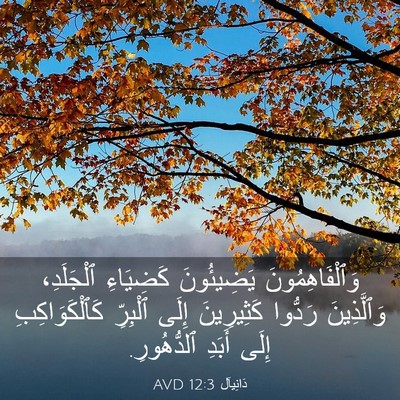 Picture 03 - دَانِيآل 12:3 AVD - وَٱلْفَاهِمُونَ - Bible Verse Picture