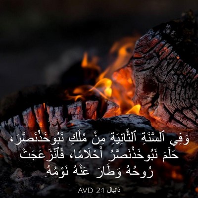 Picture 03 - دَانِيآل 2:1 AVD - وَفِي ٱلسَّنَةِ - Bible Verse Picture