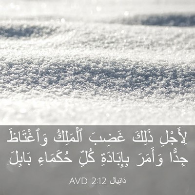 Picture 03 - دَانِيآل 2:12 AVD - لِأَجْلِ ذَلِكَ غَضِبَ - Bible Verse Picture