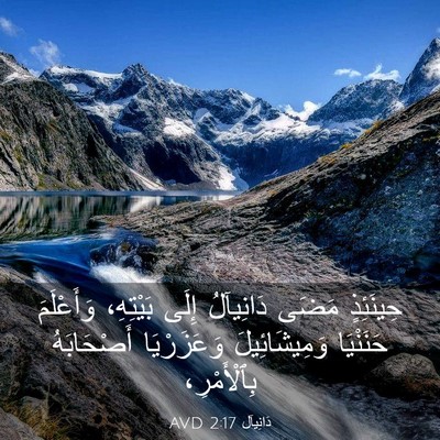 Picture 03 - دَانِيآل 2:17 AVD - حِينَئِذٍ مَضَى دَانِيآلُ - Bible Verse Picture